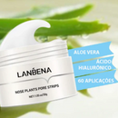 Removedor de Cravos Lanbena