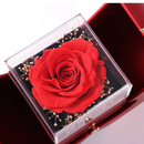 Colar Declaração Para o Meu Amor