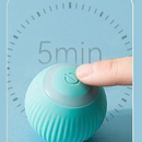 Bolinha Elétrica Gatos