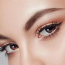 BrowPerfection - Kit Profissional de Sobrancelhas